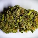 Northern Lights