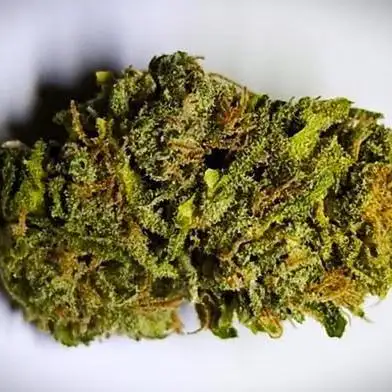 Northern Lights