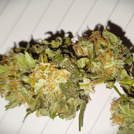 Tangie
