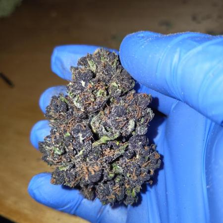 purple lemonade auto (fb) outdoor