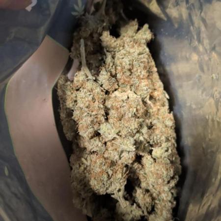 BLUE DREAM *_*