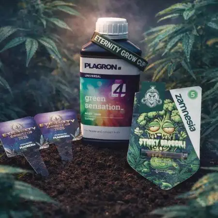 Eternity Grow Cup 2026 Sticky Broccoli