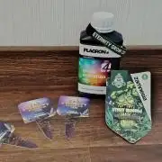 Eternity Grow Cup 2026 Sticky Broccoli