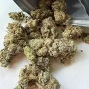 Super Strains Seeds