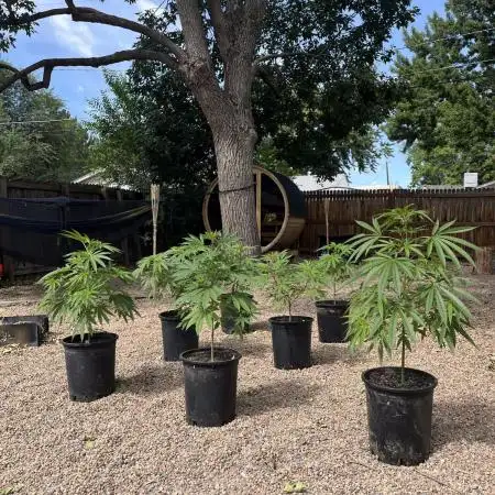 SLOG & AK Outdoors