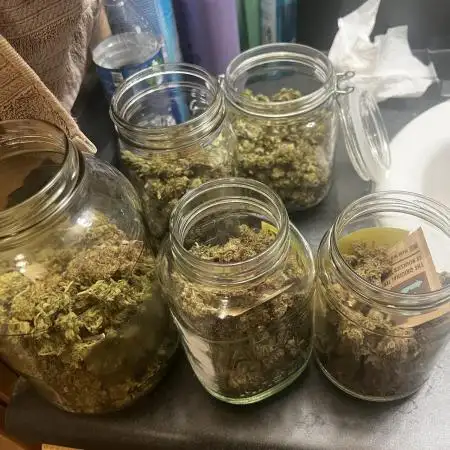 First Auto Grow