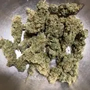 Blueberry Fem. -Dutch Passion