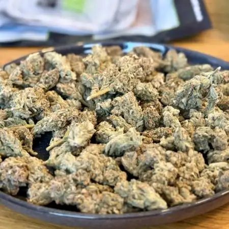TPB Lemon Cherry Cookies Auto Hydro Grow