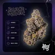 BlackMagic