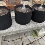 2026 Grow