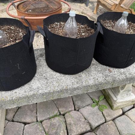 2026 Grow
