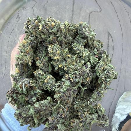 2026 Grow