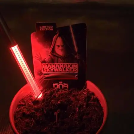 Bananakin Skywalker
