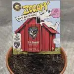 Zooapy   T.H Seeds ×Zamnesia