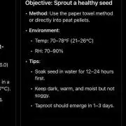 Blueberry auto Fast Buds