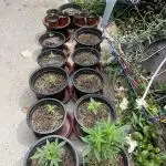 Outdoor by Karlos