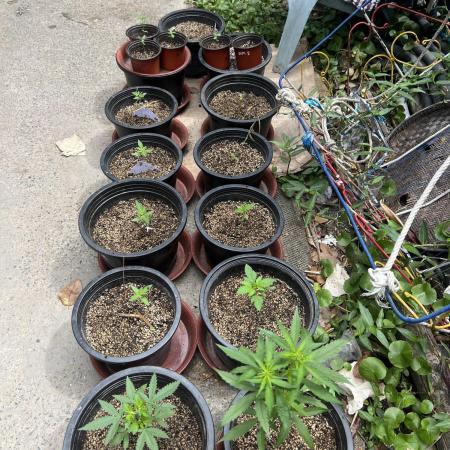Outdoor by Karlos