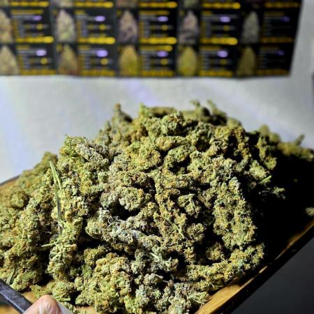 Wizard Trees DIY DWC
