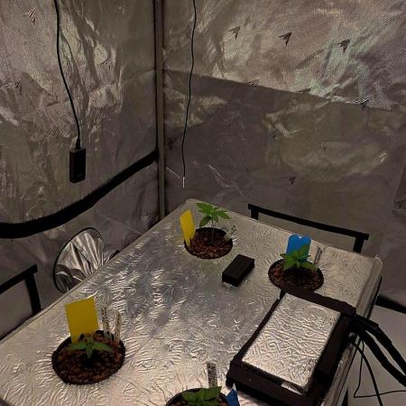 Humboldt DYI DWC