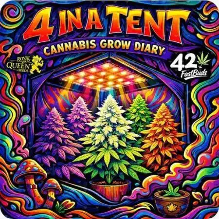 Four in a Tent