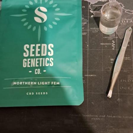 1st try closet grow