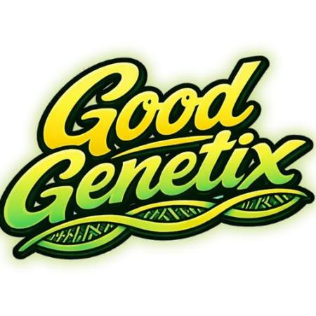 Good Genetix Run 2