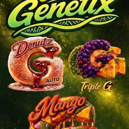 Good Genetix Run 2