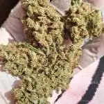 Strain A