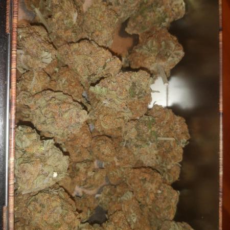 First Autogrow....cherry cola/big bud