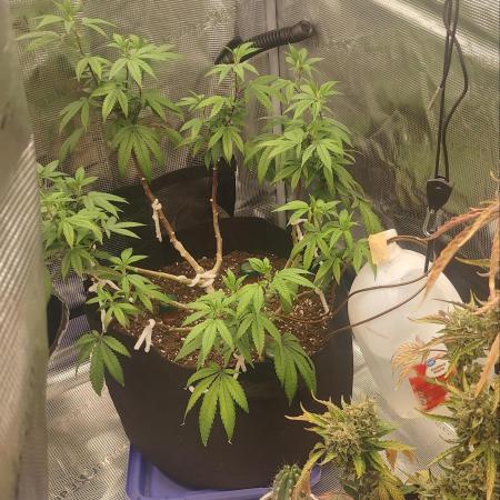 Permanent Marker first run micro setup