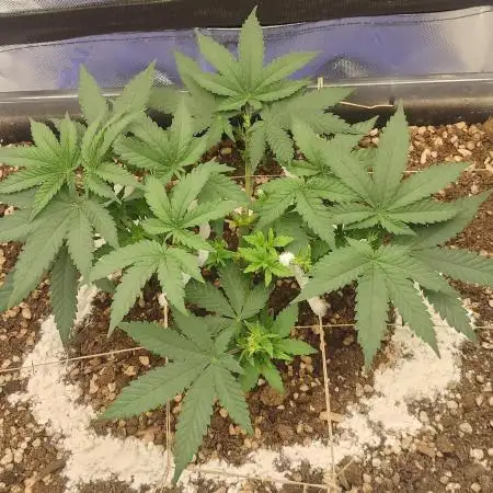 Permanent Marker first run micro setup