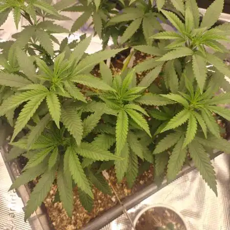 Permanent Marker first run micro setup