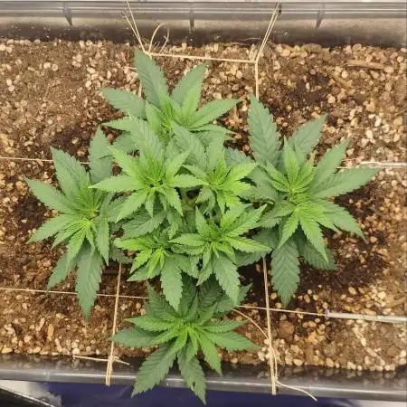 Permanent Marker first run micro setup
