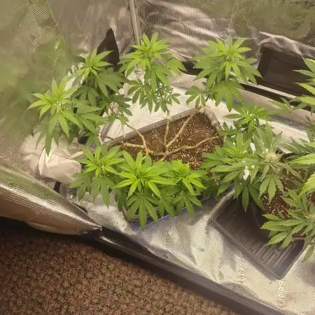 Permanent Marker first run micro setup