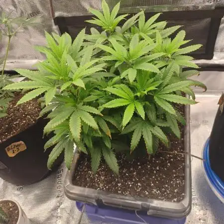 Permanent Marker first run micro setup