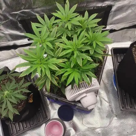 Permanent Marker first run micro setup