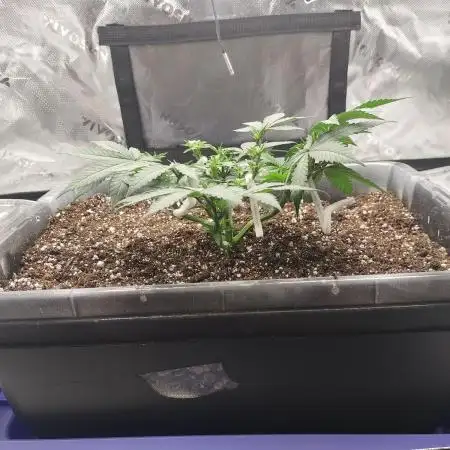 Permanent Marker first run micro setup