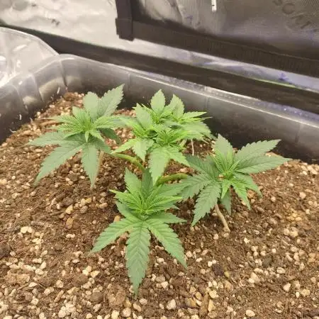 Permanent Marker first run micro setup