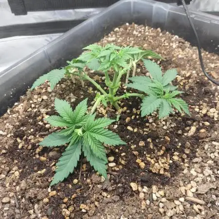 Permanent Marker first run micro setup