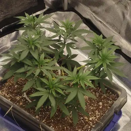 Permanent Marker first run micro setup