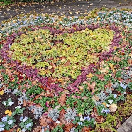 (Keine)Batzen Maybee ? Part 2