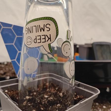 Strength and Medical Mass