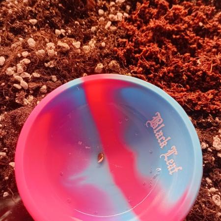 Replace me if you can