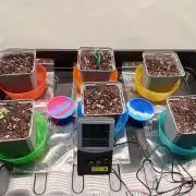 Shady indoor garden 🔥