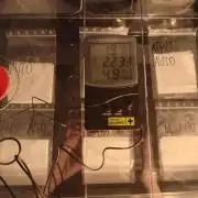 Shady indoor garden 🔥