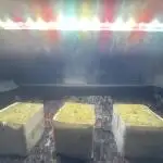 perfect grow