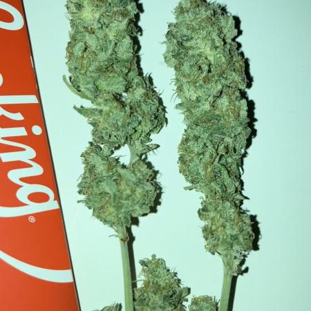 AK-47
