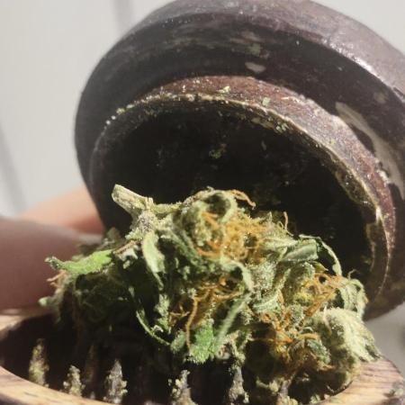 N° 1 -  Auto Blueberry