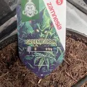 Green goblin