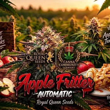 Apple fritter Auto.
